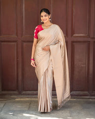 SC6665(1) - SATIN SAREE