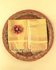 SC3024 - Plain Tissue Saree