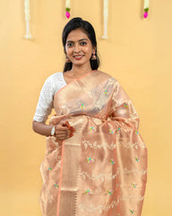 SC4067 - Tissue Saree With Embroidery All Over