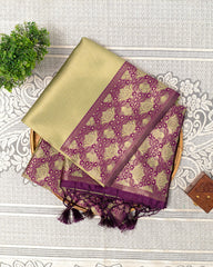 SC3280 - Tissue Saree With Fancy Border