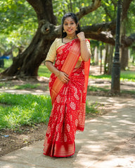 SC4028 - Dola With Bandhini Print