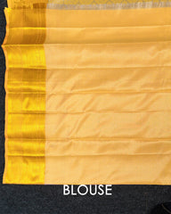 SC4799 - TISSUE SAREE WITH EMBOSE FLOWER DESIGN AND GOLD BORDER