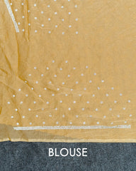 SC3555 - Crush saree with premium Jharkhand stone work