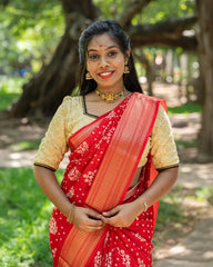 SC4028 - Dola With Bandhini Print