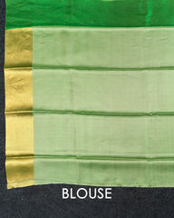 SC4806 - Tissue Saree With Embroidery Border