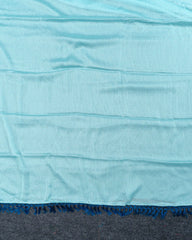SC3366 - Chiffon Georgette With Stone And Seperate Blouse Work