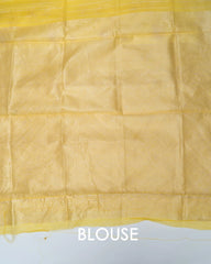 SC3042 - Linen Thread Butta With Neem Zari