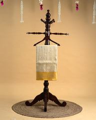 Tissue Saree with Silver Stone and Thread Work