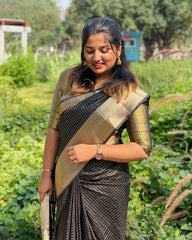 SC6913 - CREPE CHECKED SAREE