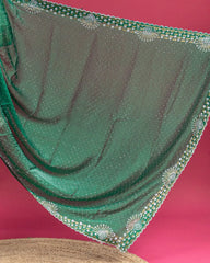 SC3822-Fendy Saree with Jarjoshi work
