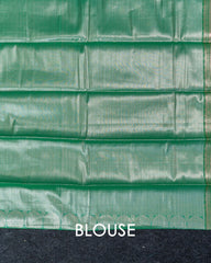 SC2954 - Tissue With Jaquard Body And Contrast Border