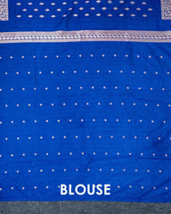 SC6670 - RAW SILK SAREE