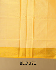 Tissue Saree with Silver Stone and Thread Work