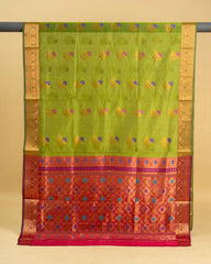 Silk Cotton Saree
