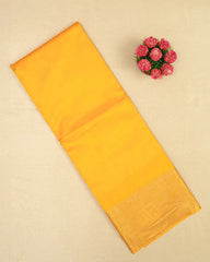 SC6272 - TUSSAR SILK SAREE