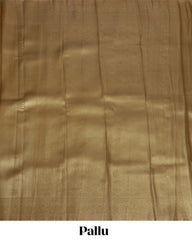 Tissue Saree With Checked Embose Small Buttas