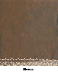 Fendy Saree With Jarkan Stone Work