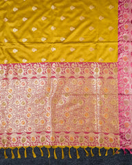 SC6366 - SATIN SAREE