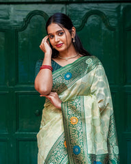 SC5528 - TISSUE SAREE