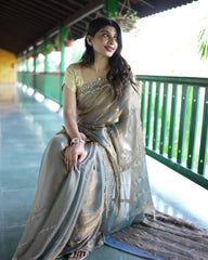 Fendy Saree With Jarkan Stone Work