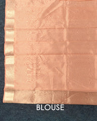 SC4067 - Tissue Saree With Embroidery All Over