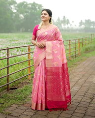 SC2121 - FANCY COTTON SAREE