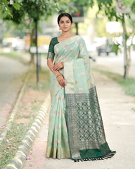 SC2121 - FANCY COTTON SAREE