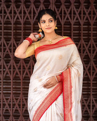 SC6666 - RAW SILK SAREE
