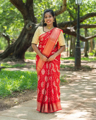 SC4028 - Dola With Bandhini Print