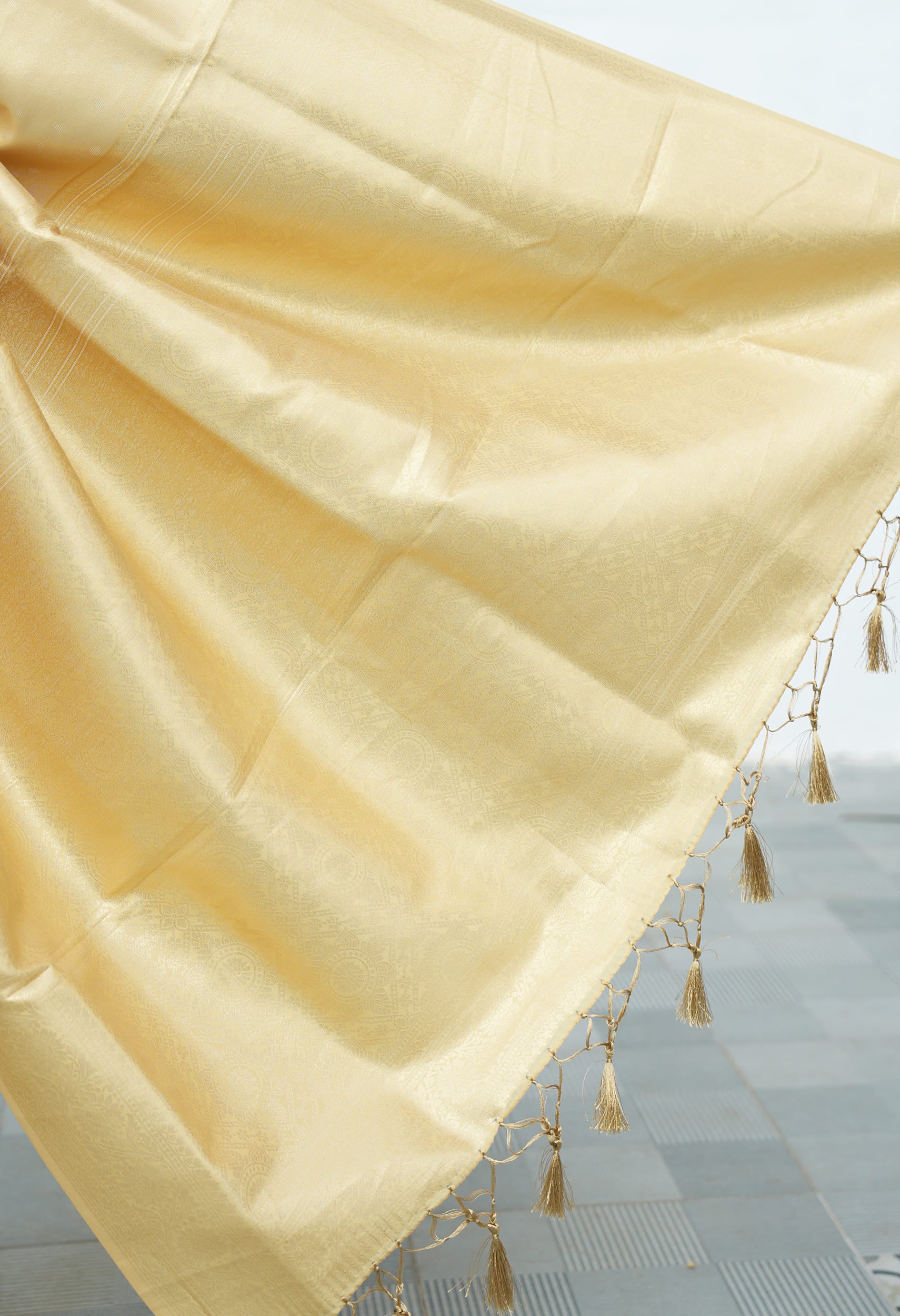 Tissue Saree With Embose Small Buttas