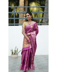 Litchi Silks Saree With Traditional Double Border